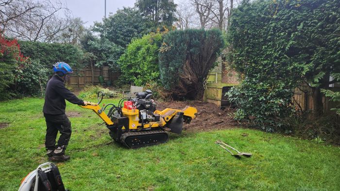 Tracked stump grinder at work in a back garden