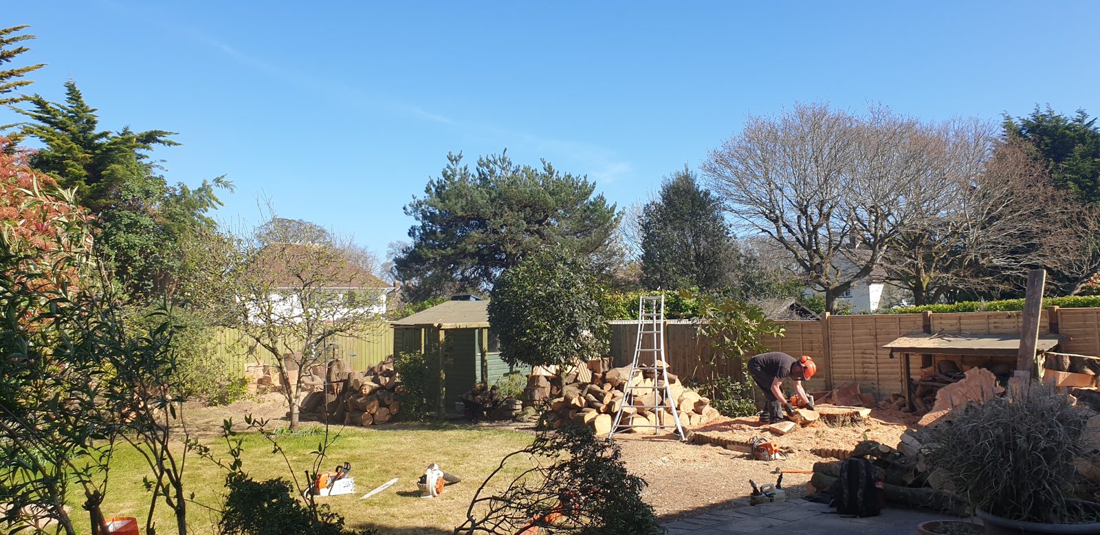 The team clearing timber from a sunny back garden